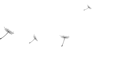 开云体育 开云官网「材料」不锈钢材料合集(图18) 开云体育 开云官网「材料」不锈钢材料合集(图18)