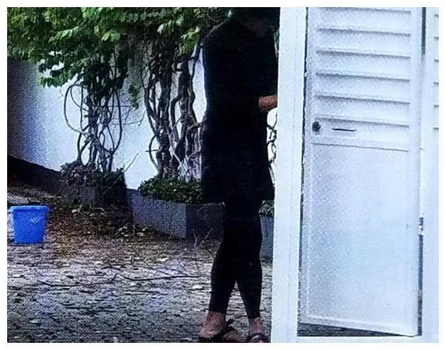 参观周润发在香港的家不住市开云 开云体育APP区而住乡间阳台护栏还是不锈钢的(图4) 参观周润发在香港的家不住市开云 开云体育APP区而住乡间阳台护栏还是不锈钢的(图4)