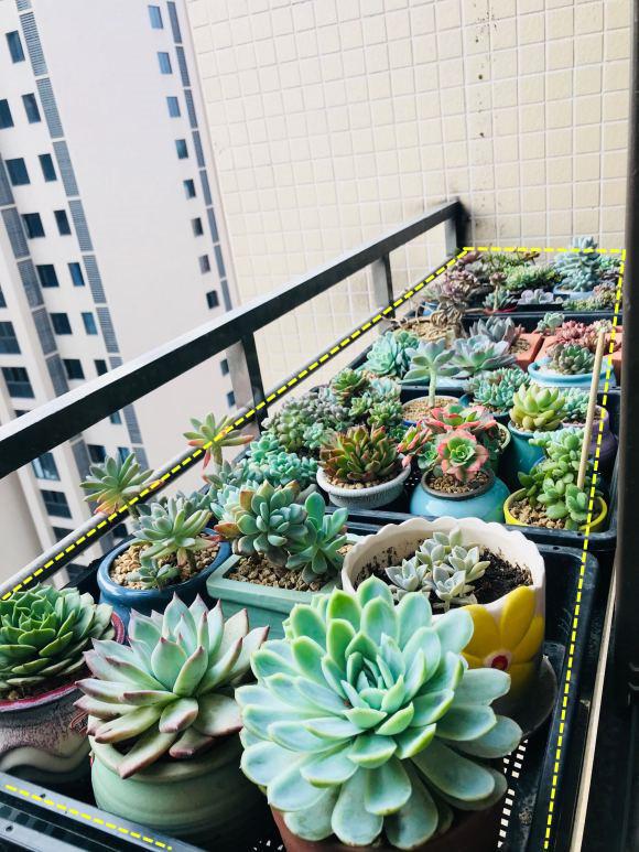 在22层高楼阳台外搭不锈钢花架楼下业主开云体育 开云官网表示很心慌必须拆除！(图1)