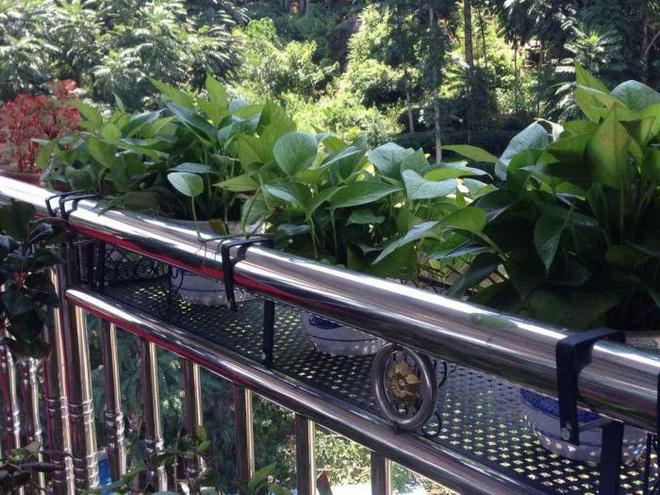 在22层高楼阳台外搭不锈钢花架楼下业主开云体育 开云官网表示很心慌必须拆除！(图3)