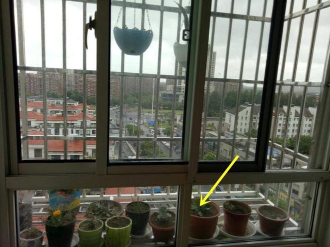 开云体育 开云平台安装防盗窗时为何要多加2根不锈钢管？少装一个都不放心！(图4)