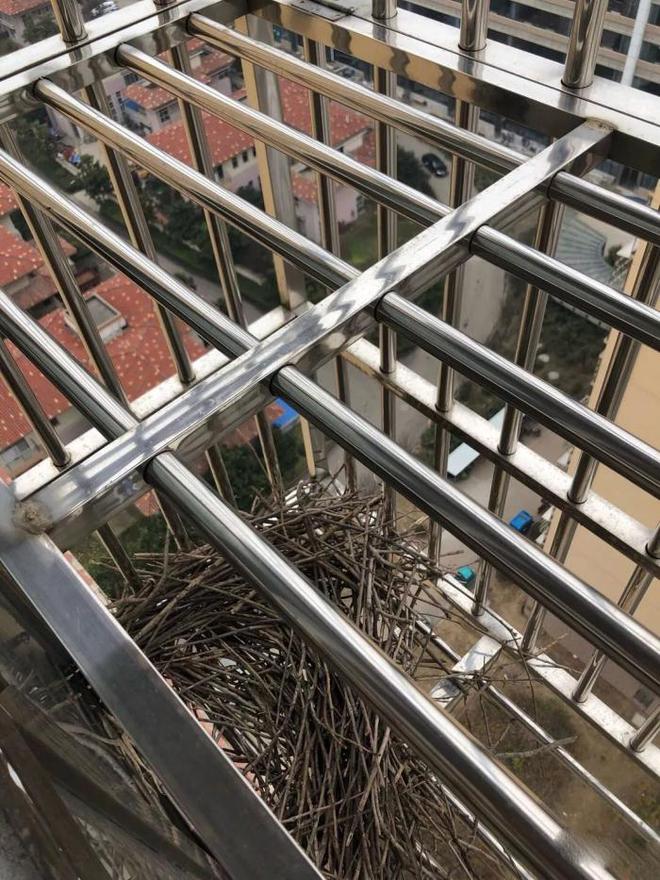 开云体育 开云平台安装防盗窗时为何要多加2根不锈钢管？少装一个都不放心！(图6)