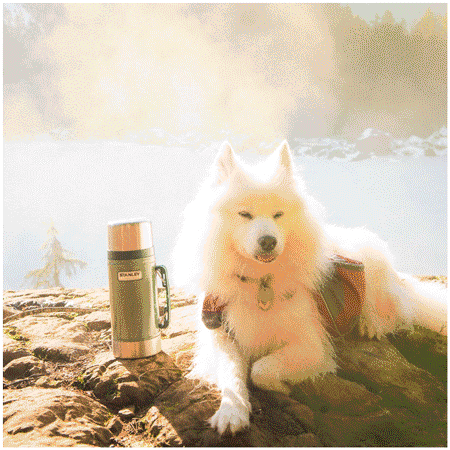 3 件保温装备有颜值有实力户外玩家都偏爱开云 开云体育平台它(图1)