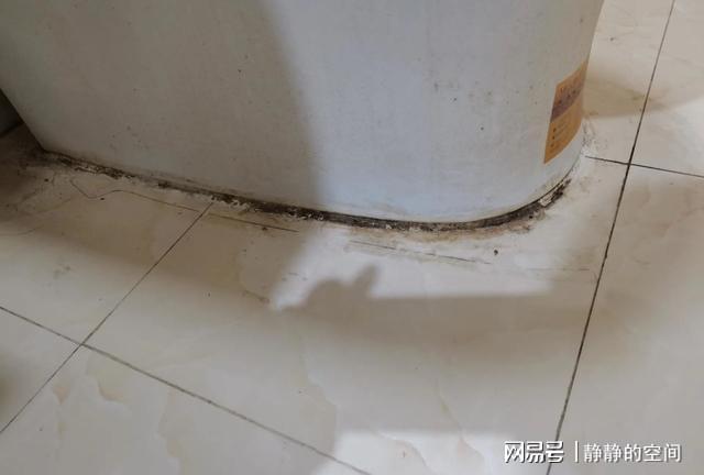 开云 开云体育平台不要再“崇洋”了这些国货好物个个都有真本事(图10)