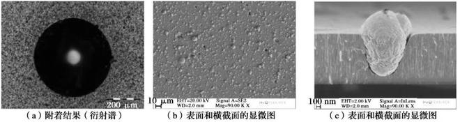 开云 开云体育APP应用多层ZrNZrCN涂层提高滚动轴承摩擦学性能(图15)