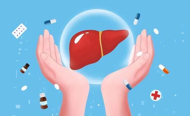 医生提醒：停止使用“绞肉机”若不丢弃或许会对肝脏有损伤开云体育 开云平台(图1)