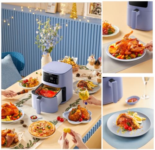 空气炸锅中的“大黑马”希蜜首创0涂层空气炸锅开云 开云体育APP(图3)