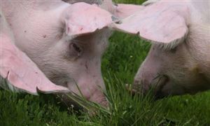 金属制品行业市场现状及发展趋势前景开云 开云体育官网分析2022(图5)