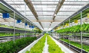 金属制品Kaiyun 开云行业现状分析2022 金属制品行业发展前景预测(图7) 金属制品Kaiyun 开云行业现状分析2022 金属制品行业发展前景预测(图7)