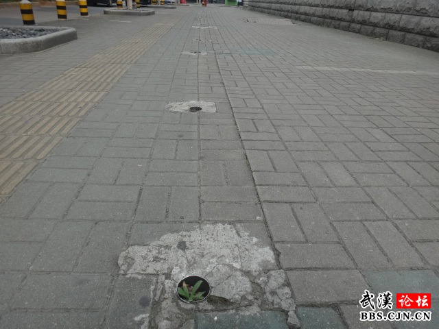 302 Foun开云体育 开云官网d(图1)