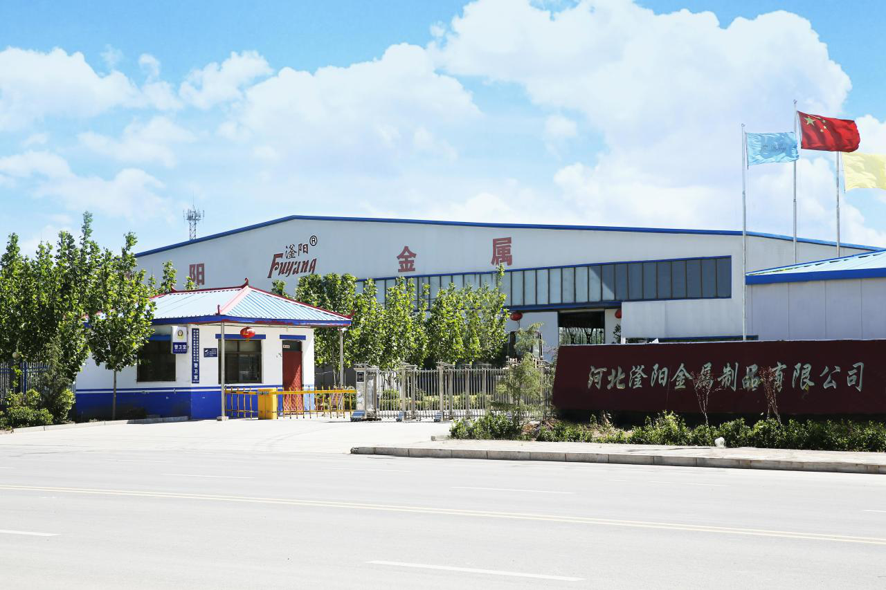 Kaiyun 开云体育“邯郸民企之星”——河北滏阳金属制品股份有限公司董事长兼总经理张利霞(图3)