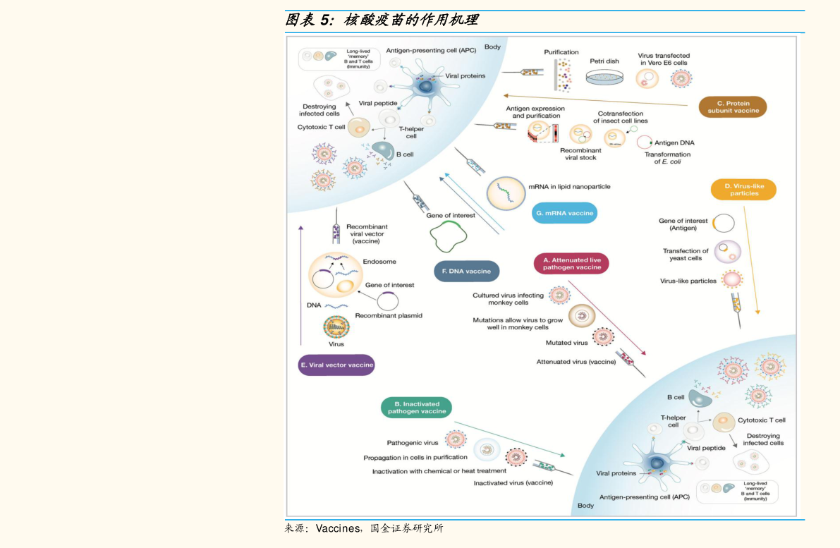 45钢硬度对照表（易切钢）开云 开云体育官网(图4)