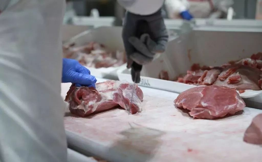 开云体育 开云平台你好西安丨新闻早餐速递 11月29日 [语音版](图5)