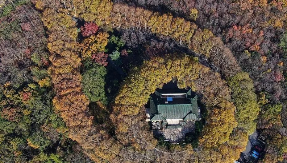 开云体育 开云平台你好西安丨新闻早餐速递 11月29日 [语音版](图14)