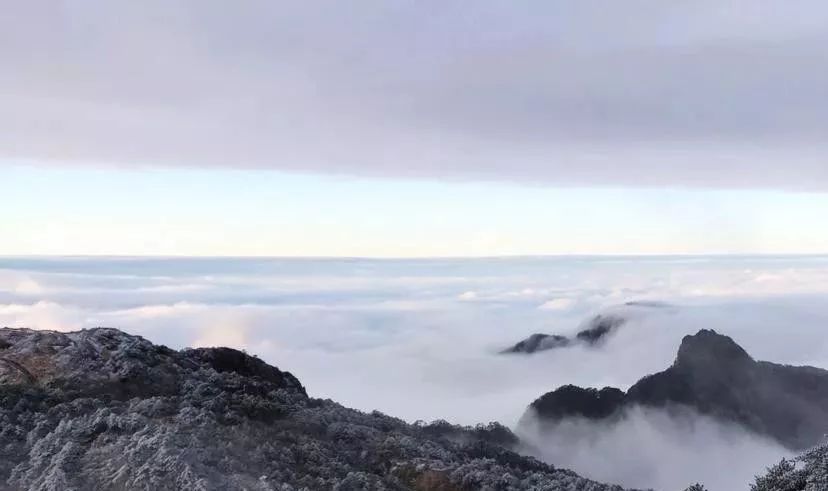 开云体育 开云平台你好西安丨新闻早餐速递 11月29日 [语音版](图16)