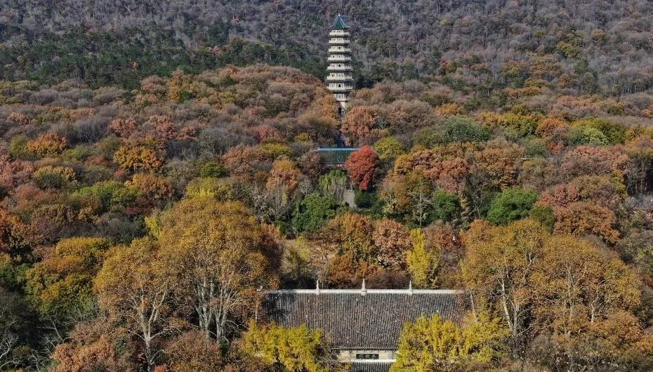 开云体育 开云平台你好西安丨新闻早餐速递 11月29日 [语音版](图15)