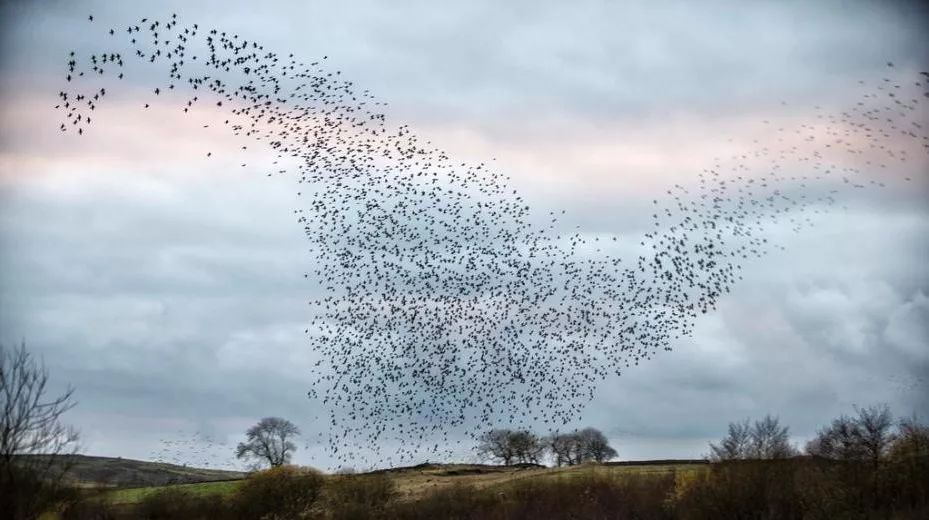 开云体育 开云平台你好西安丨新闻早餐速递 11月29日 [语音版](图17)