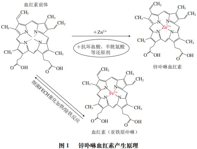 开云APP 开云官网入口《食品科学》：合肥工业大学徐宝才教授等：发酵肉制品中微生物替代亚硝酸盐发色作用机理及应用研究进展(图2)