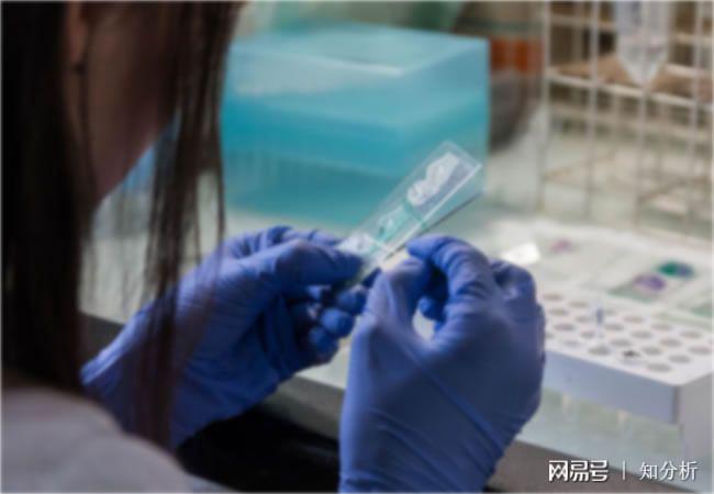 开云体育 开云平台金属材料成分定性定量分析技术操作方法详解(图2)