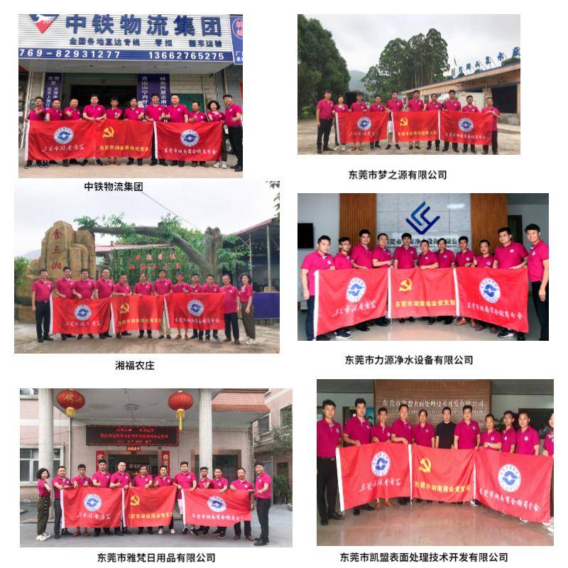 开云 开云体育官网会员走访（五）常务副会长肖剑锋带队走访谢岗分会会员企业(图2)